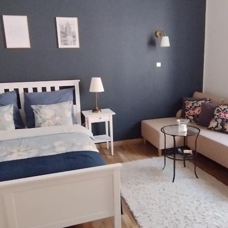 Dominique Apartment Краків Екстер'єр фото