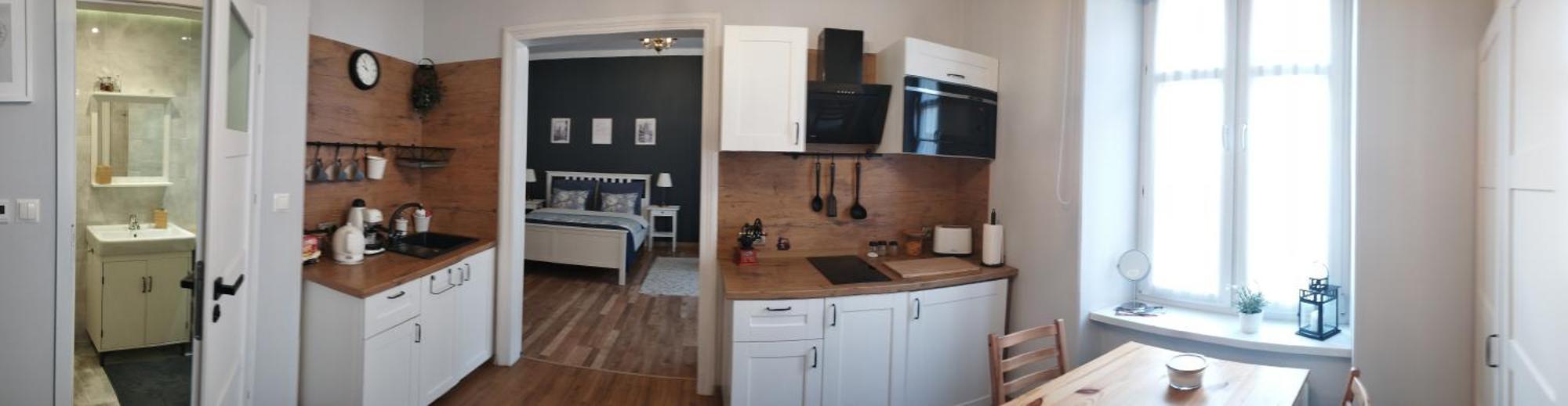 Dominique Apartment Краків Екстер'єр фото